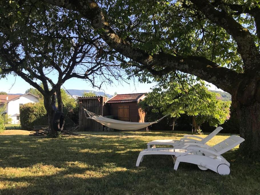 אלבי-סיר-שראן Comme Chez Mamie, Maison Entiere 1-6 Personnes מראה חיצוני תמונה